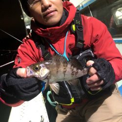 ヤザワ渡船 釣果