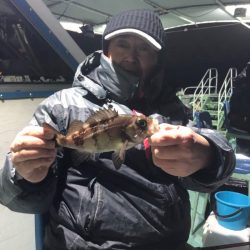 ヤザワ渡船 釣果