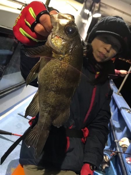 ヤザワ渡船 釣果