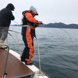 あみや渡船 JIGBOY 釣果