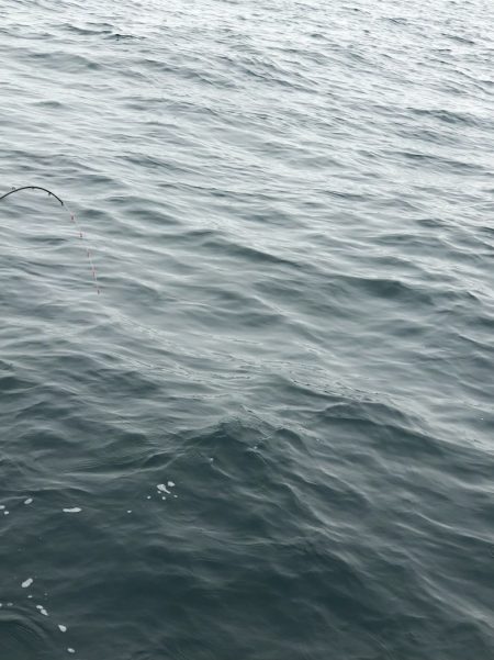 あみや渡船 JIGBOY 釣果