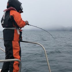 あみや渡船 JIGBOY 釣果