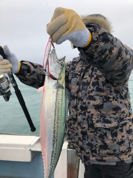 あみや渡船 JIGBOY 釣果