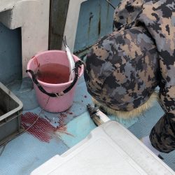 あみや渡船 JIGBOY 釣果