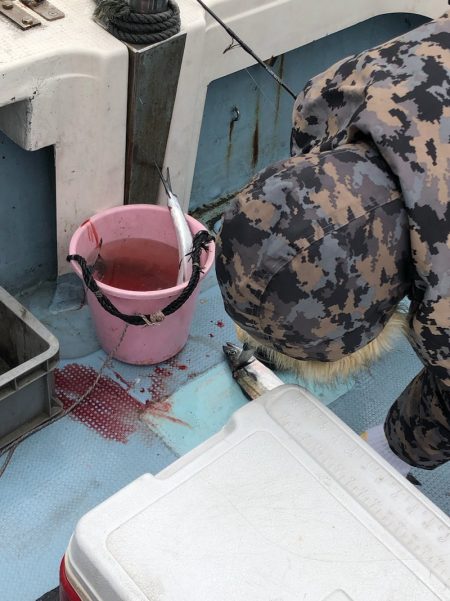 あみや渡船 JIGBOY 釣果