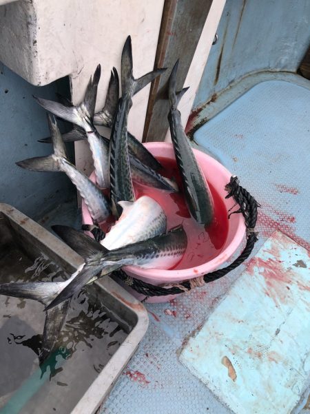 あみや渡船 JIGBOY 釣果