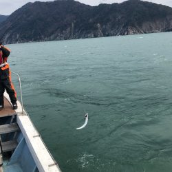 あみや渡船 JIGBOY 釣果