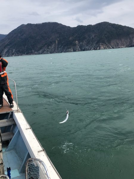 あみや渡船 JIGBOY 釣果