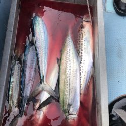 あみや渡船 JIGBOY 釣果