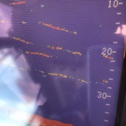 あみや渡船 JIGBOY 釣果