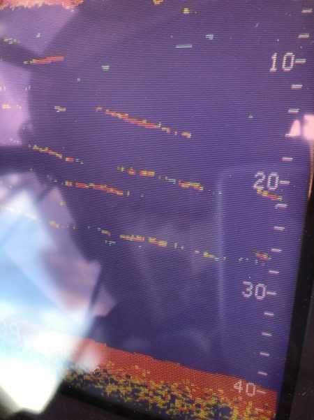 あみや渡船 JIGBOY 釣果