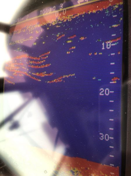 あみや渡船 JIGBOY 釣果