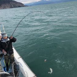 あみや渡船 JIGBOY 釣果