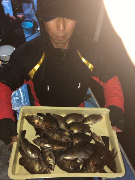 ヤザワ渡船 釣果