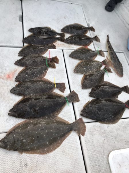 遊漁船メテオ 釣果