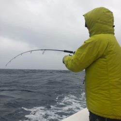 山正丸 釣果