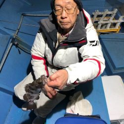 ヤザワ渡船 釣果