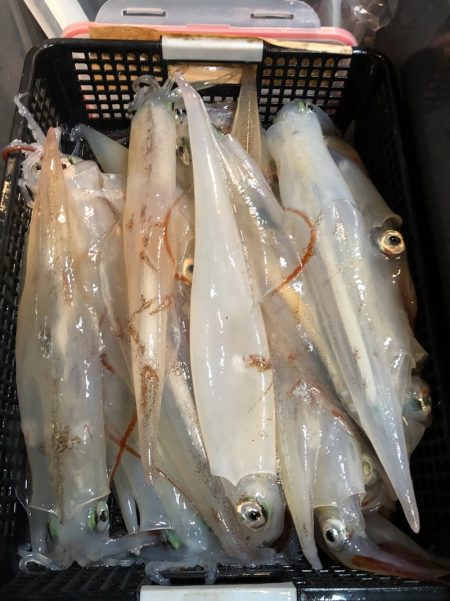 第二八坂丸 釣果