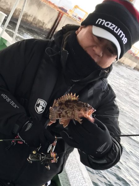 ヤザワ渡船 釣果