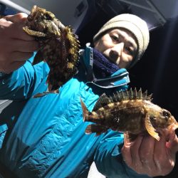 ヤザワ渡船 釣果