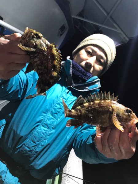 ヤザワ渡船 釣果