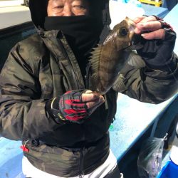ヤザワ渡船 釣果