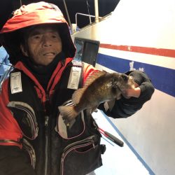 ヤザワ渡船 釣果