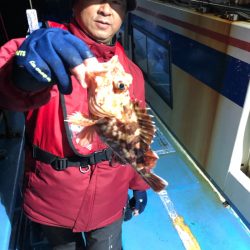 ヤザワ渡船 釣果