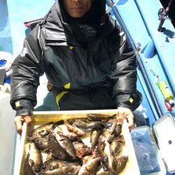 ヤザワ渡船 釣果