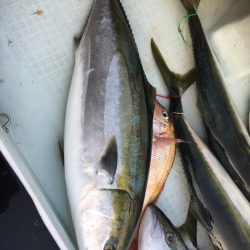 海楽隊 華栞丸 釣果