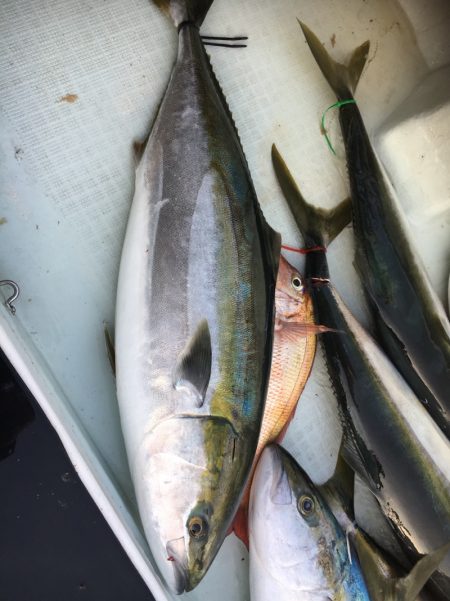 海楽隊 華栞丸 釣果