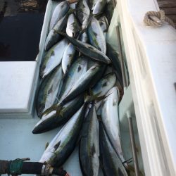 海楽隊 華栞丸 釣果