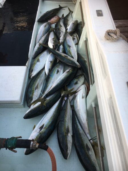 海楽隊 華栞丸 釣果