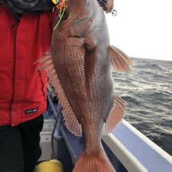 新幸丸 釣果