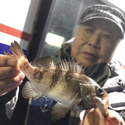 ヤザワ渡船 釣果