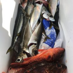 龍神丸(鹿児島) 釣果