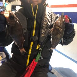 ヤザワ渡船 釣果