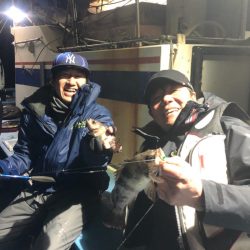 ヤザワ渡船 釣果