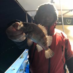 ヤザワ渡船 釣果