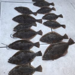 遊漁船メテオ 釣果