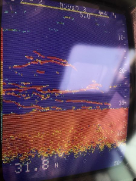 あみや渡船 JIGBOY 釣果