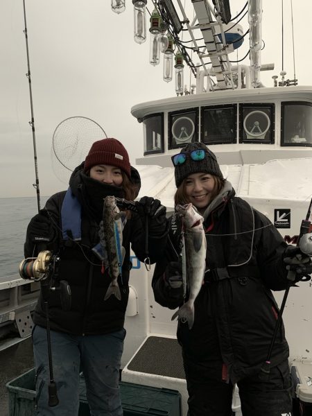 シーランチ 釣果