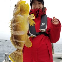 アマテラス 釣果