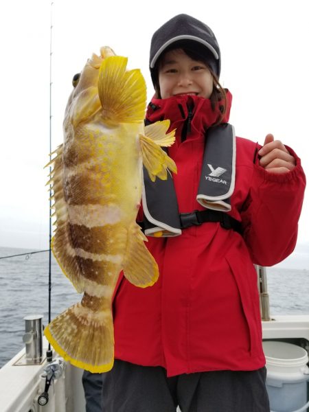 アマテラス 釣果