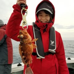 アマテラス 釣果