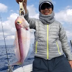 アマテラス 釣果