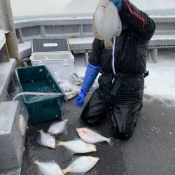 シーランチ 釣果