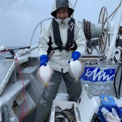 シーランチ 釣果