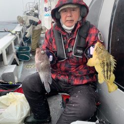 シーランチ 釣果