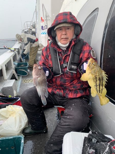 シーランチ 釣果